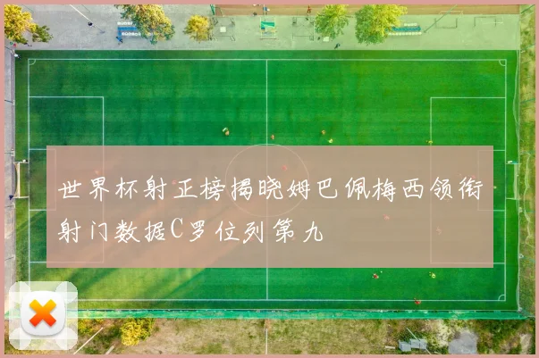 世界杯射正榜揭晓姆巴佩梅西领衔射门数据C罗位列第九